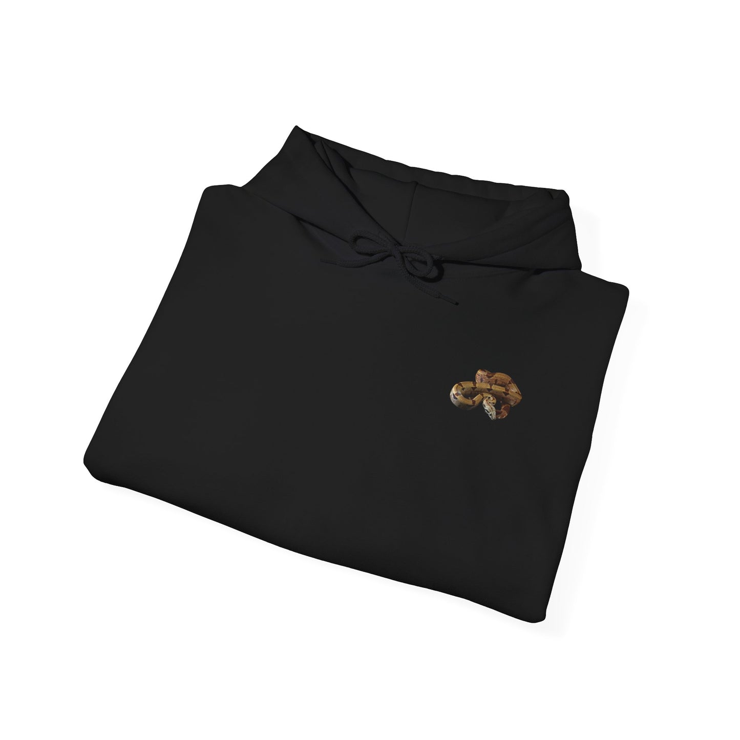 Boa Constrictor Unisex Heavy Blend™ Hooded Sweatshirt