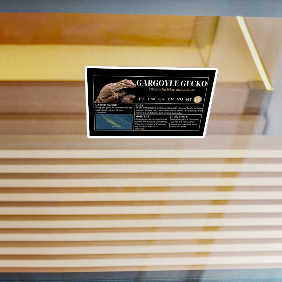 Gargoyle Gecko Sticker Label