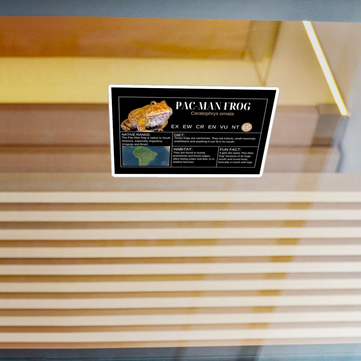 PAC-MAN Frog Sticker Label