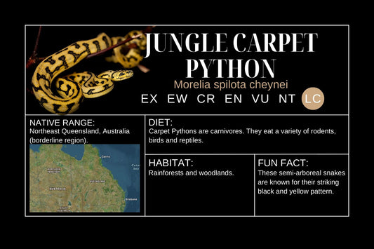 Jungle Carpet Python Sticker Label
