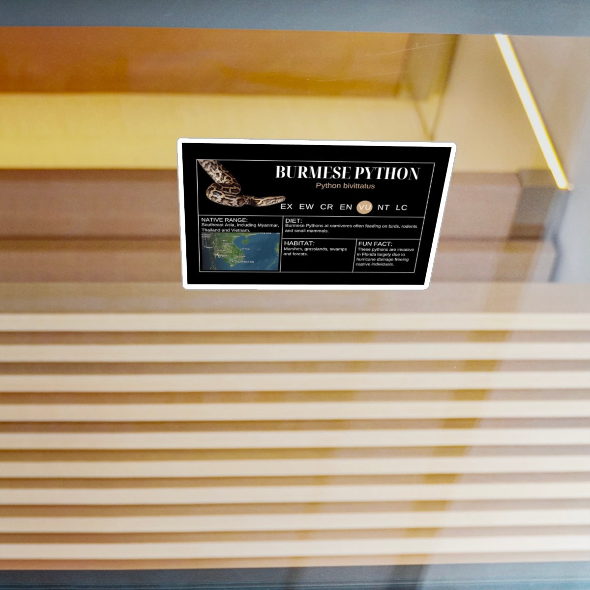 Burmese Python Sticker Label