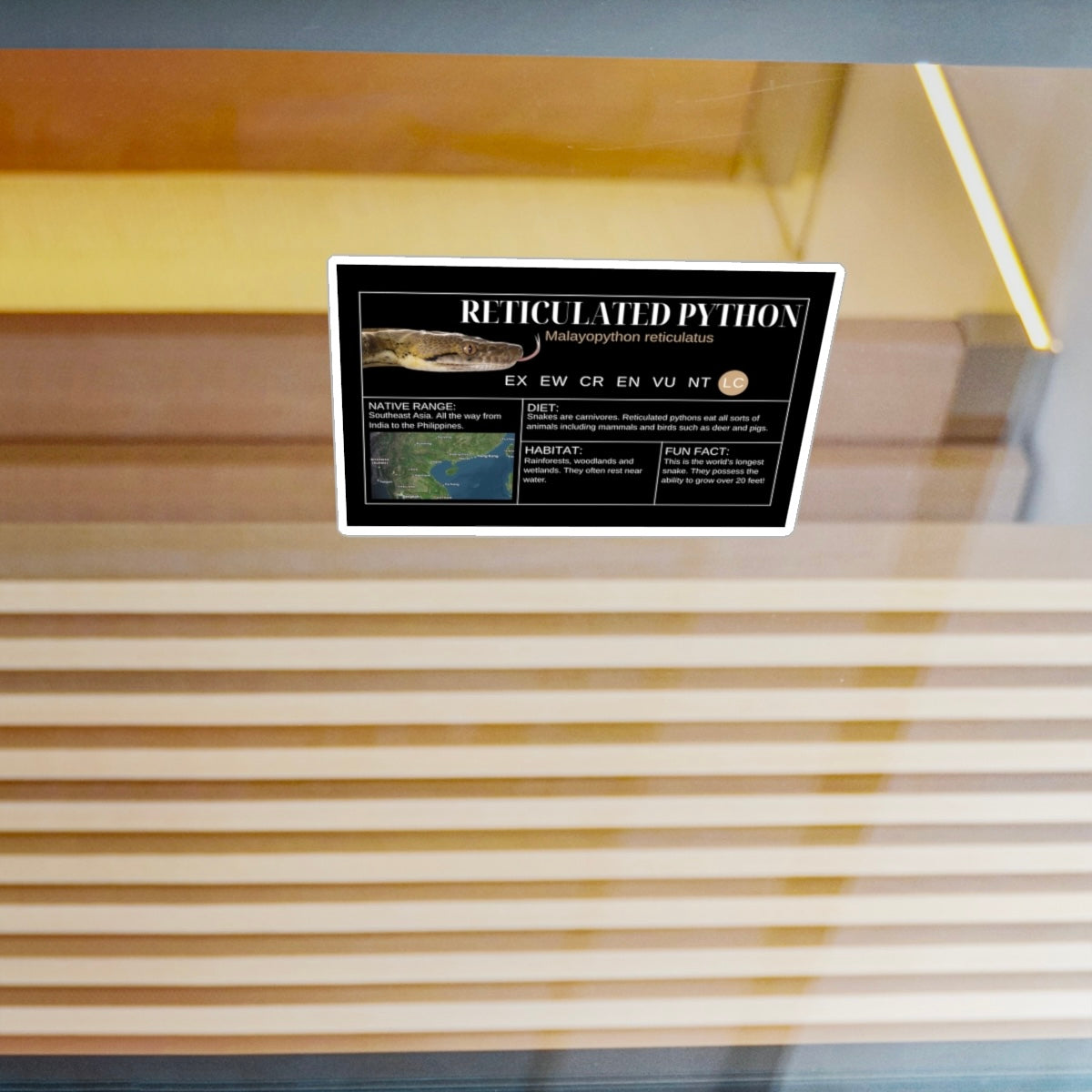 Reticulated Python Sticker Label