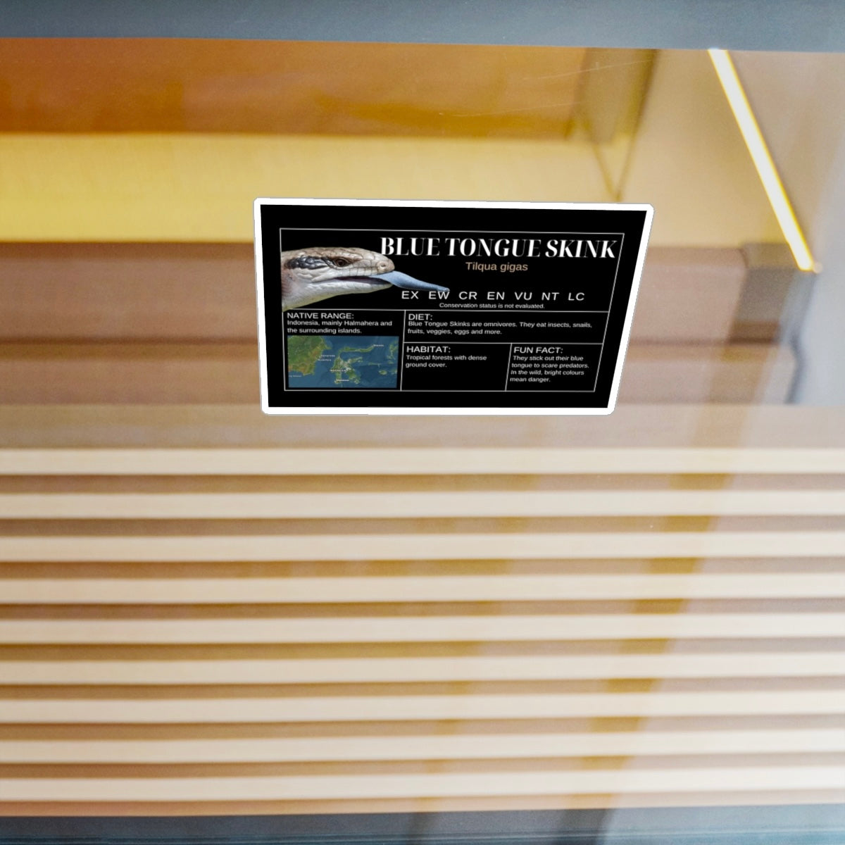 Blue Tongue Skink Sticker Label