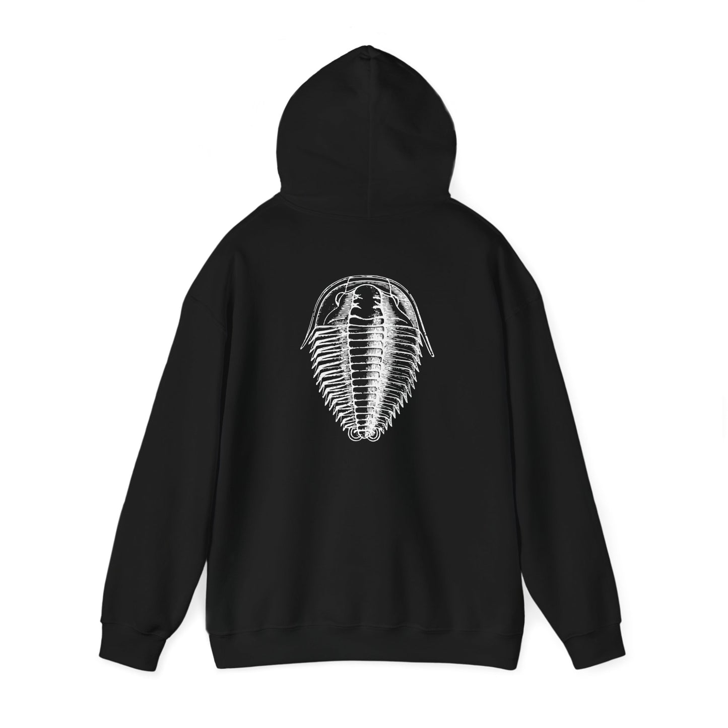 Isopod Fossil Hoodie