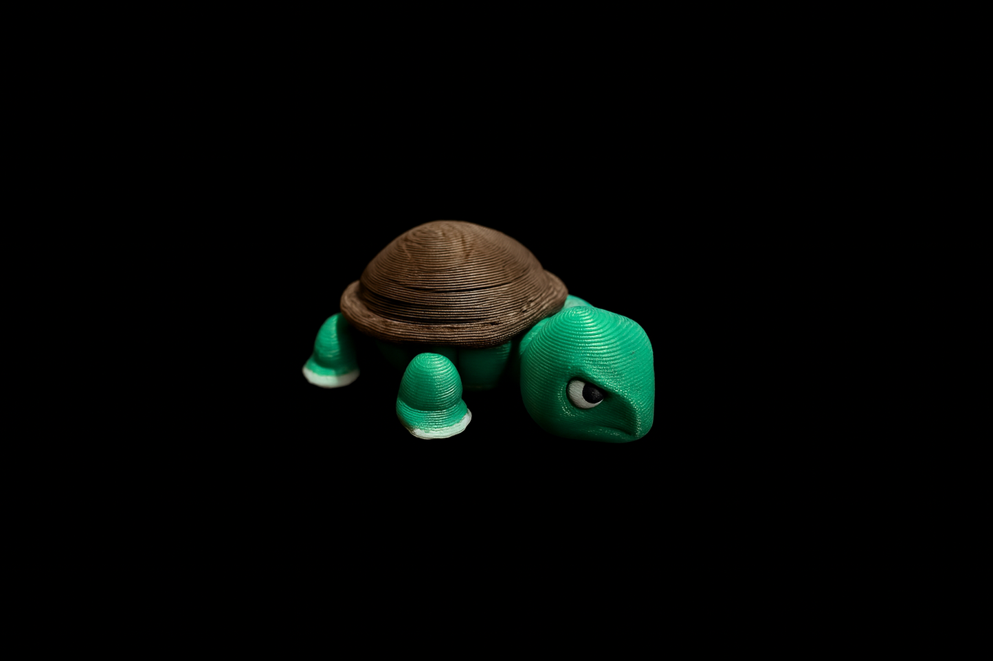 Mini 3D Printed Turtle