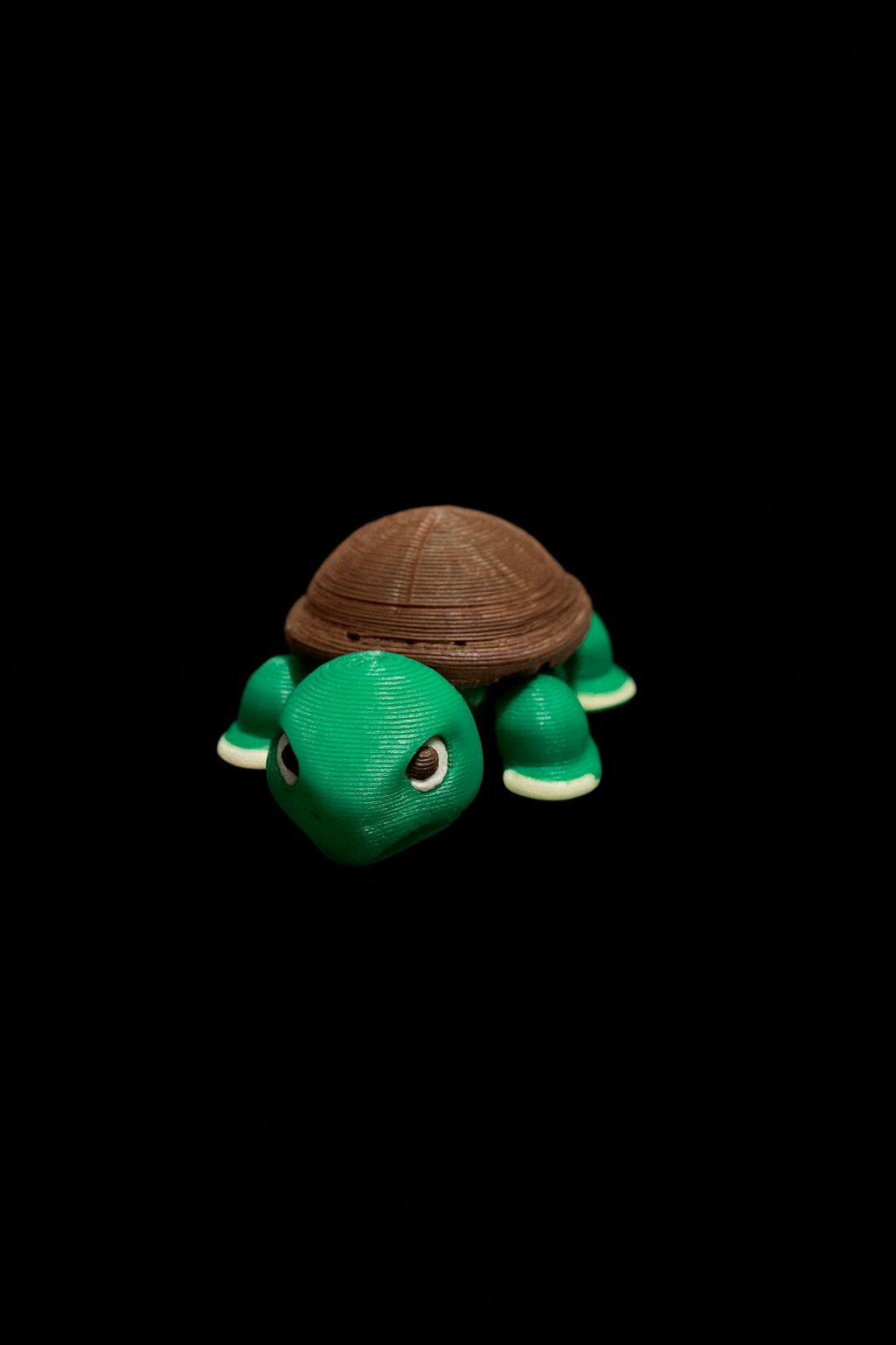 Mini 3D Printed Turtle